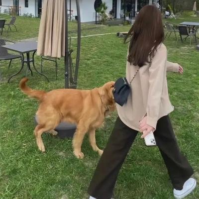 偶然